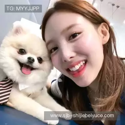 甄辰玮